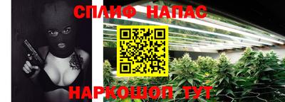 мдпв Гусь-Хрустальный