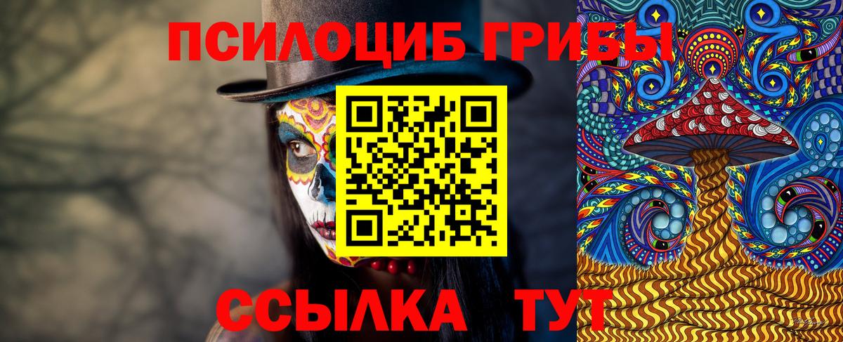 Мурманск  Псилоцибиновые грибы ЛСД  Вход с VPN 