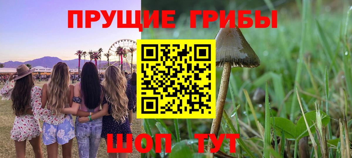 Галлюциногенные грибы Cubensis Мурманск